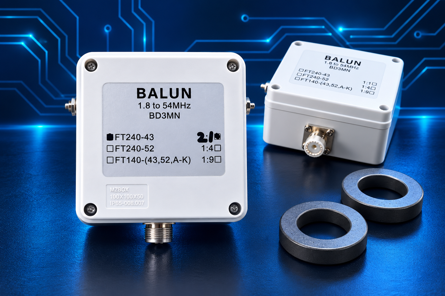 1:1BALUN 白色外壳与磁环展示
